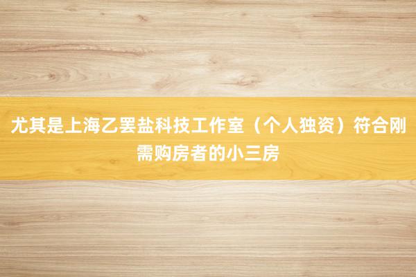 尤其是上海乙罢盐科技工作室(个人独资)符合刚需购房者的小三房